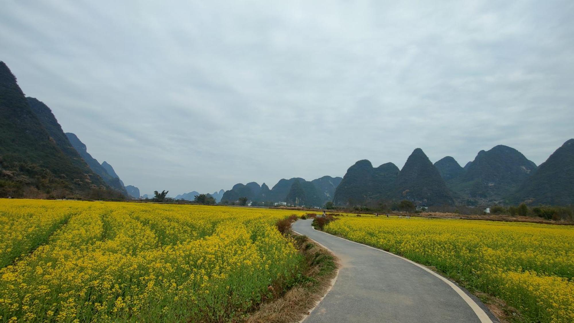 Hostal Yangshuo Tea Cozy--One Way Free Pick Up From Airport Or Ts 4 Nights Exterior foto