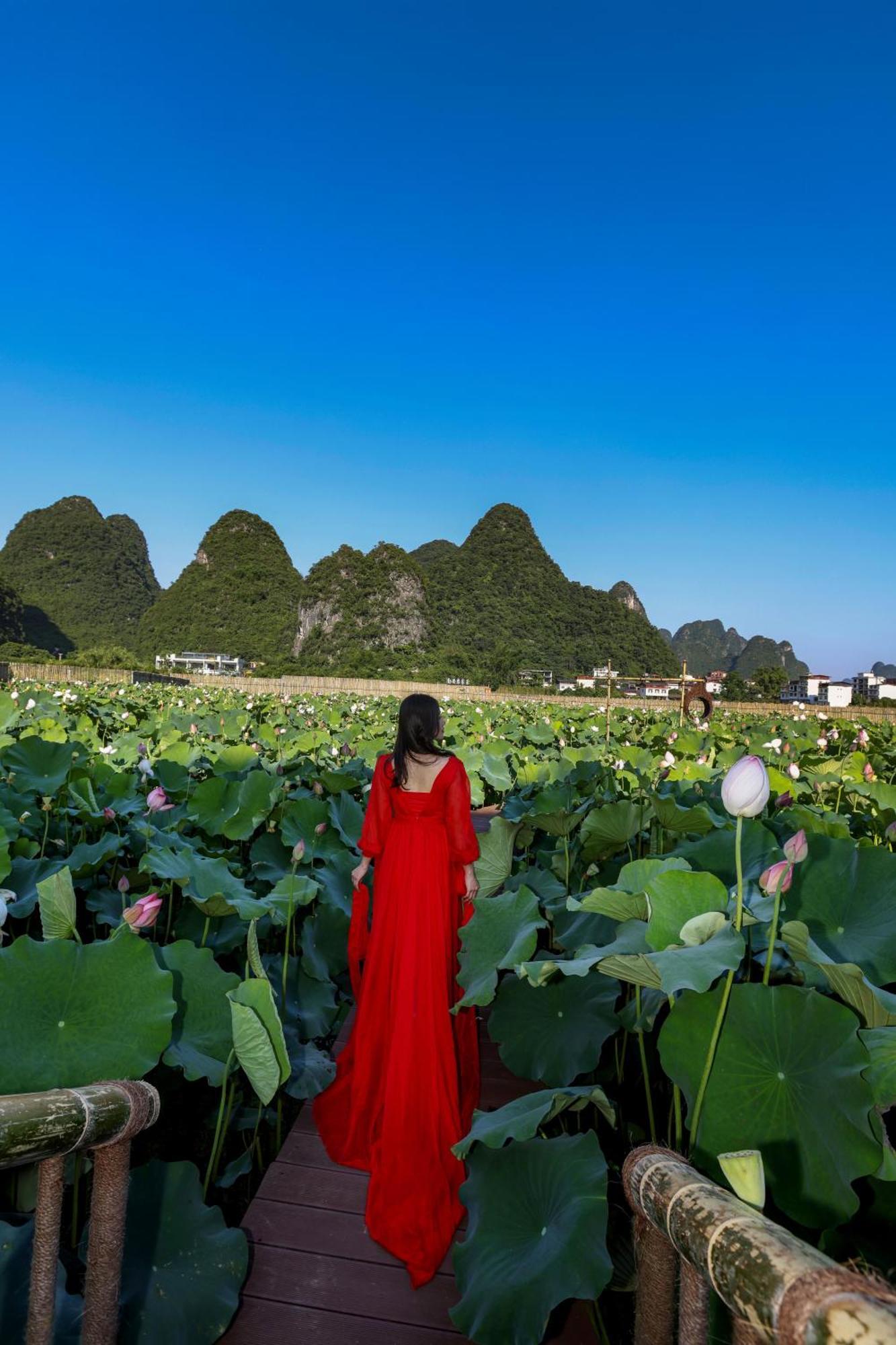 Hostal Yangshuo Tea Cozy--One Way Free Pick Up From Airport Or Ts 4 Nights Exterior foto
